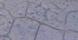 An example of  stamped concrete showing its versatility