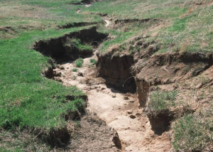 The dangers of stormwater eroding your landscape