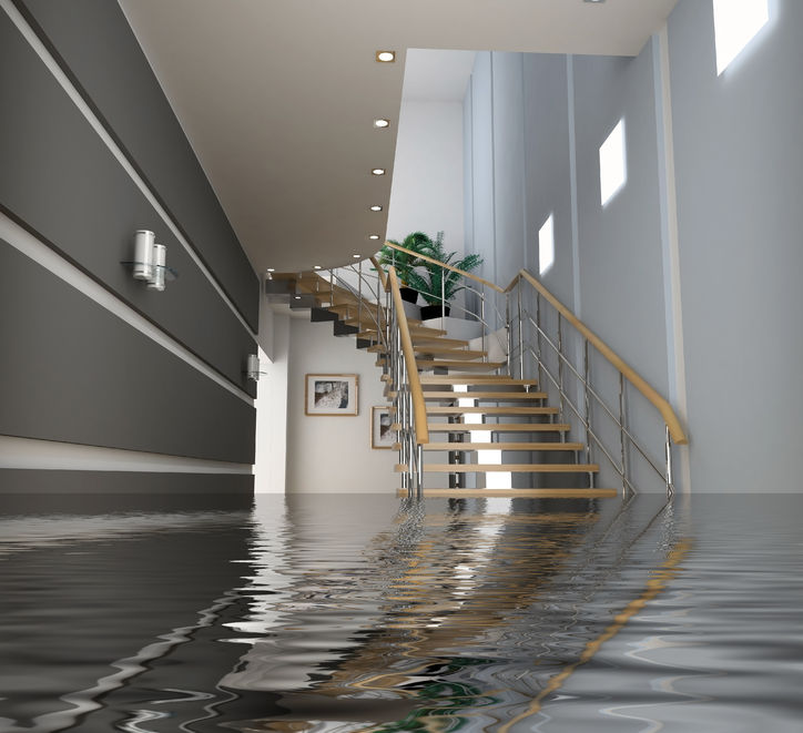 basement waterproofing contractors and services